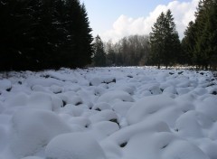 Fonds d'cran Nature le champ des roches