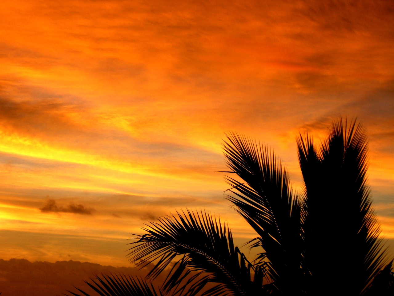 Wallpapers Nature Sunsets and sunrises Couch de soleil....