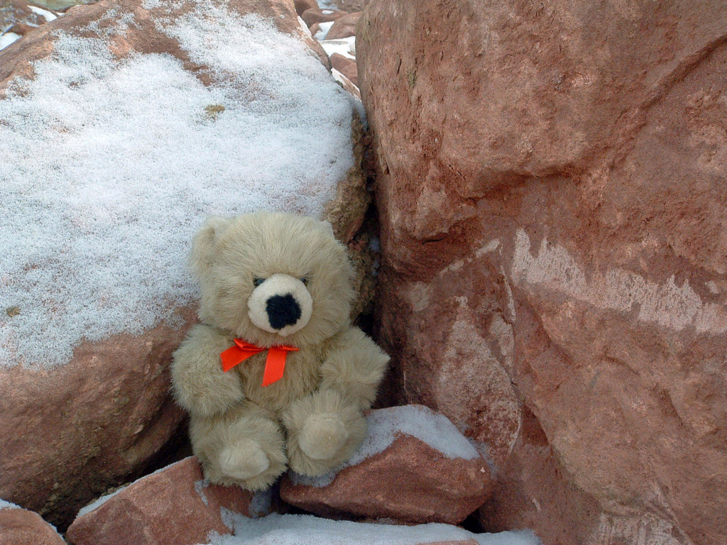 Wallpapers Objects Cuddly Petit Ours dans les rochers...