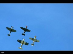 Fonds d'cran Avions Warbird