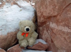 Fonds d'cran Objets Petit Ours dans les rochers...