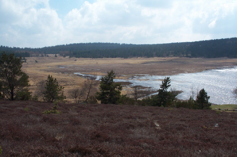 Fonds d'cran Nature Paysages Tourbire