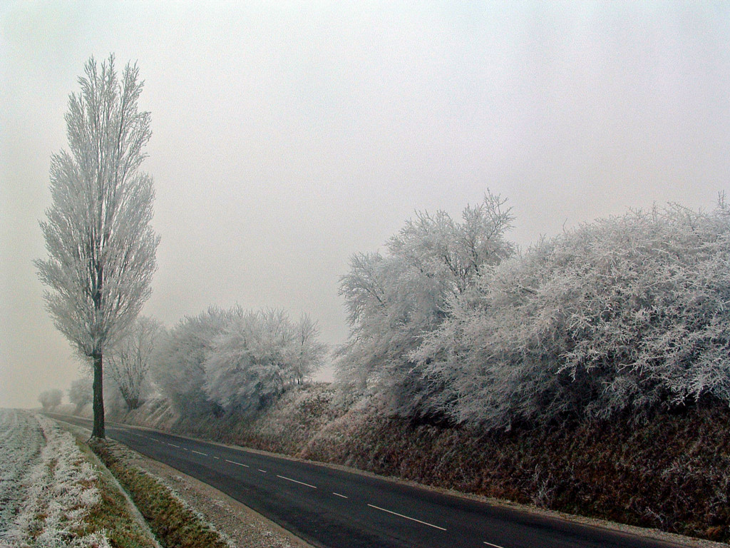 Fonds d'cran Nature Saisons - Hiver La monte est droite...