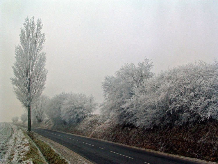 Fonds d'cran Nature Saisons - Hiver La monte est droite...