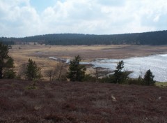 Fonds d'cran Nature Tourbire