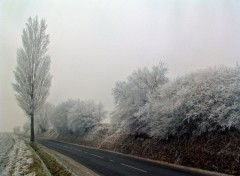 Fonds d'cran Nature La monte est droite...