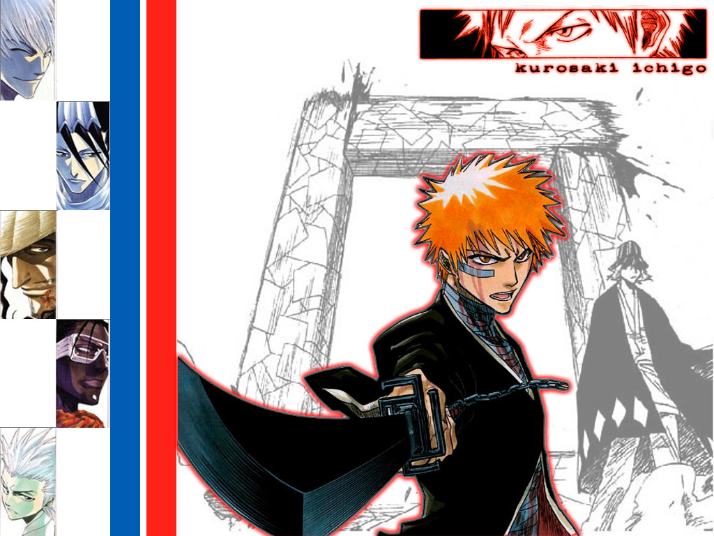 Fonds d'cran Manga Bleach gardien