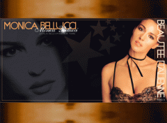 Wallpapers Celebrities Women MONICA BELLUCCHI