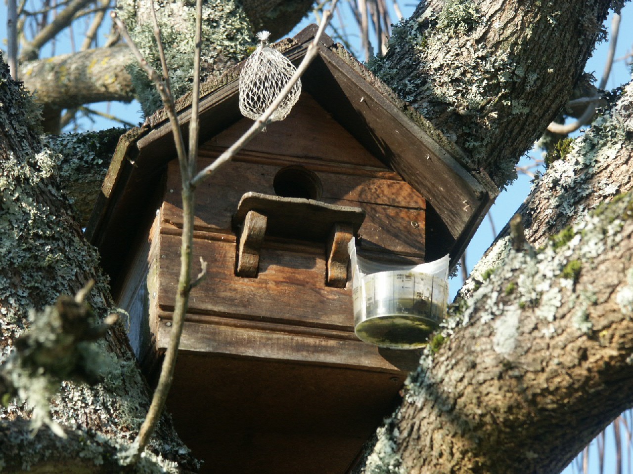 Fonds d'cran Objets Divers La maison des oiseaux