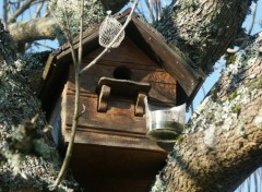 Fonds d'cran Objets La maison des oiseaux