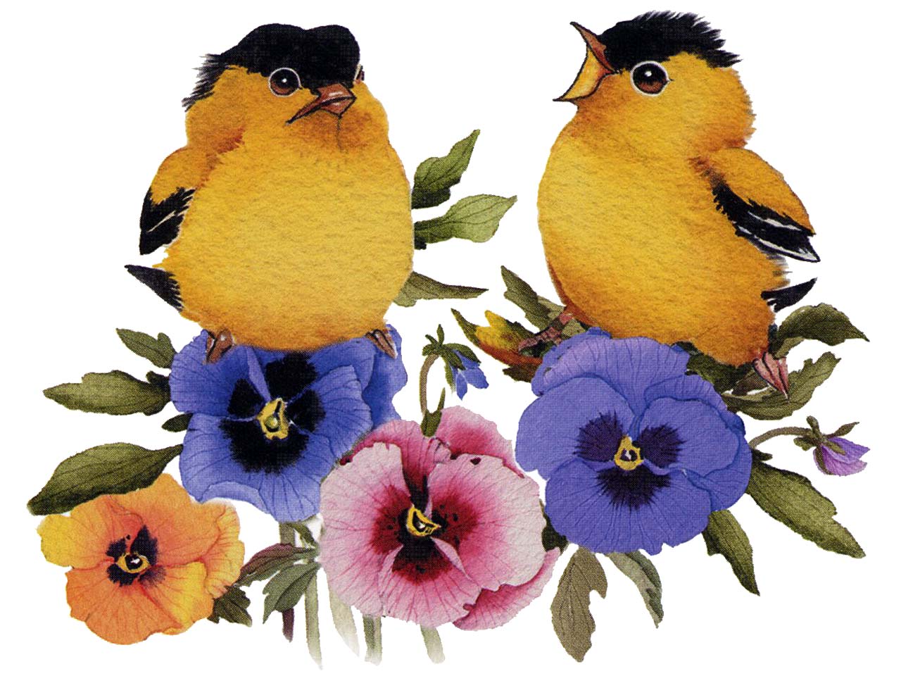 Wallpapers Digital Art Animals Oiseaux sur fleurs