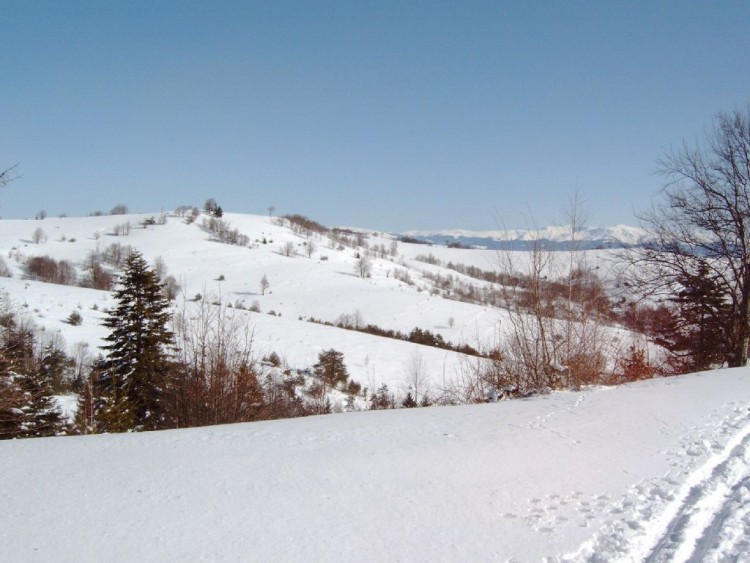 Fonds d'cran Nature Saisons - Hiver Garana en hiver