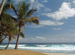 Fonds d'cran Voyages : Afrique Ile de la Reunion