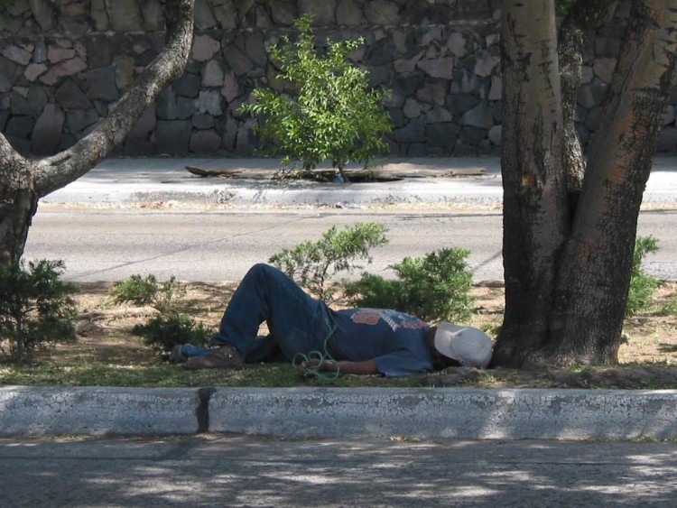 Fonds d'cran Hommes - Evnements Scnes de vie La siesta