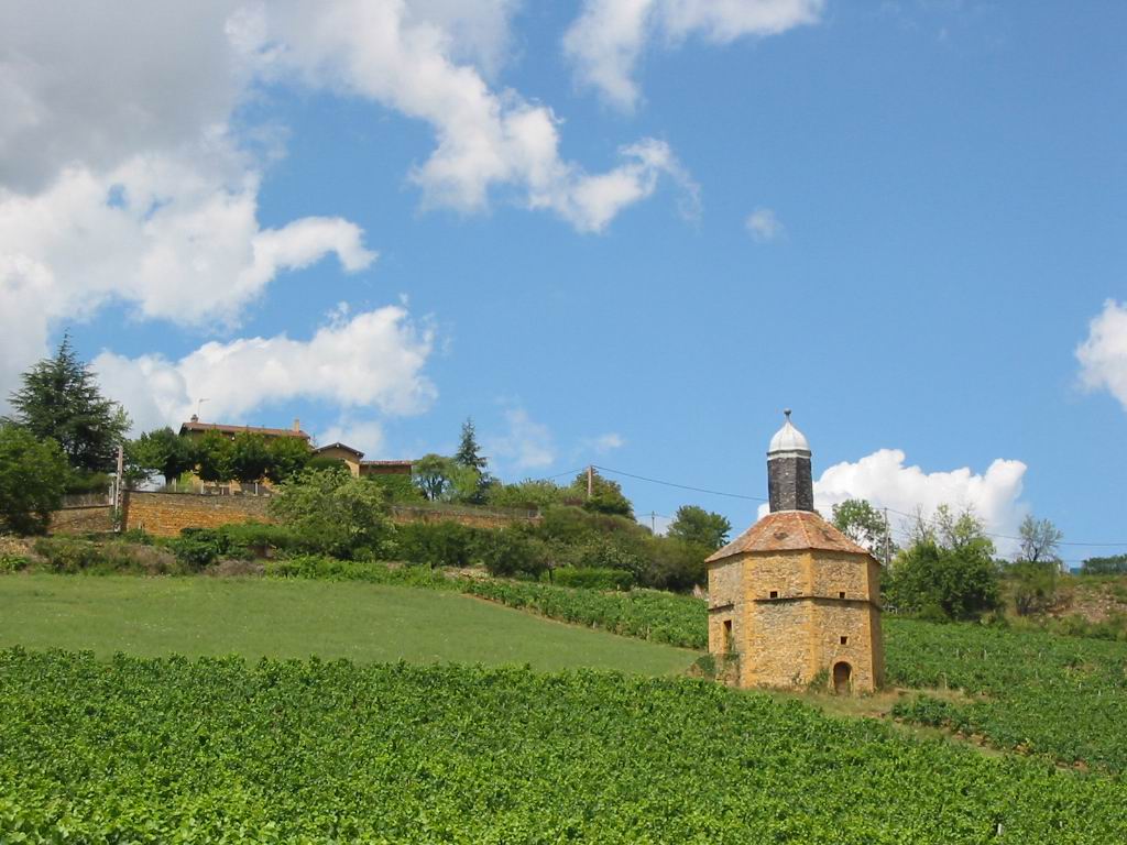 Wallpapers Nature Campaign Pays Beaujolais,Bagnols