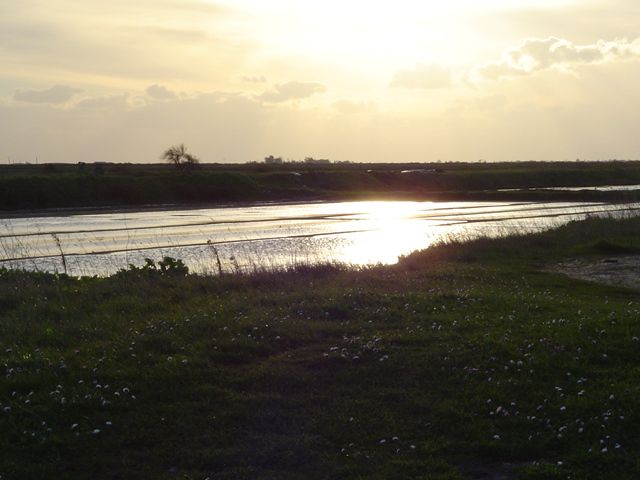 Fonds d'cran Nature Mers - Ocans - Plages Marais salants