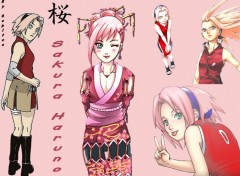 Fonds d'cran Manga Sakura