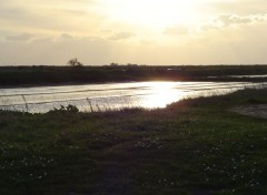 Fonds d'cran Nature Marais salants