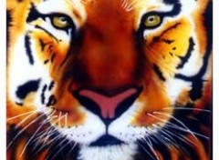 Fonds d'cran Art - Peinture Tigre