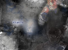 Fonds d'cran Manga Grunge Vegeta