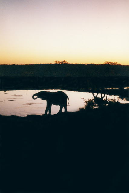 Fonds d'cran Nature Couchers et levers de Soleil namibie - parc d'etosha