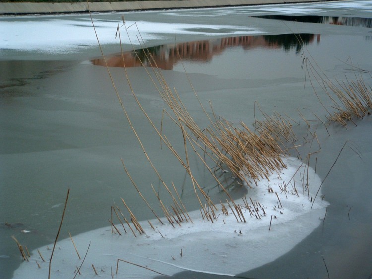 Wallpapers Nature Saisons - Winter L'tau du gel se resserre...