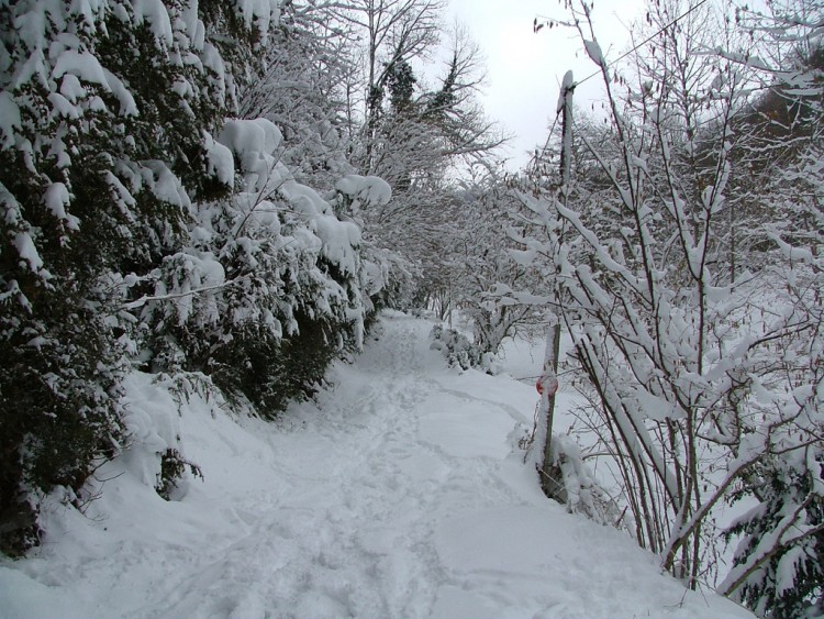 Fonds d'cran Nature Saisons - Hiver chemin enneig