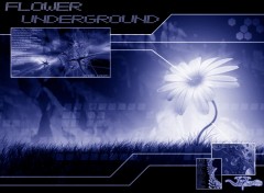 Fonds d'cran Art - Numrique Flower Underground