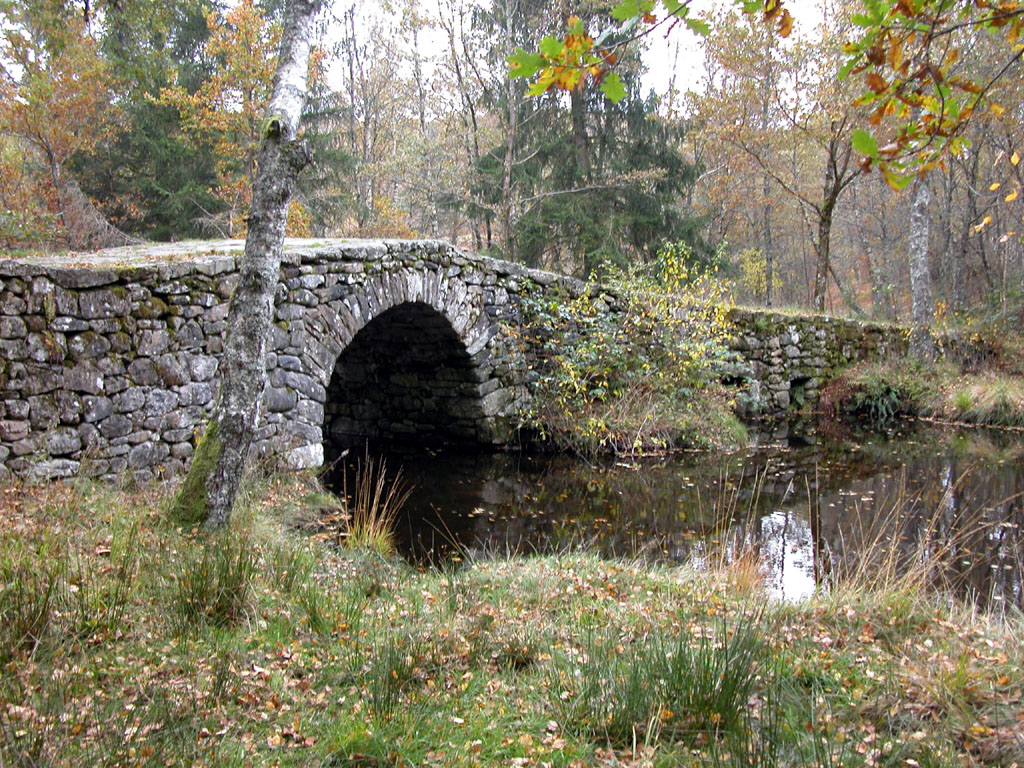 Fonds d'cran Nature Fleuves - Rivires - Torrents Pont de regrets