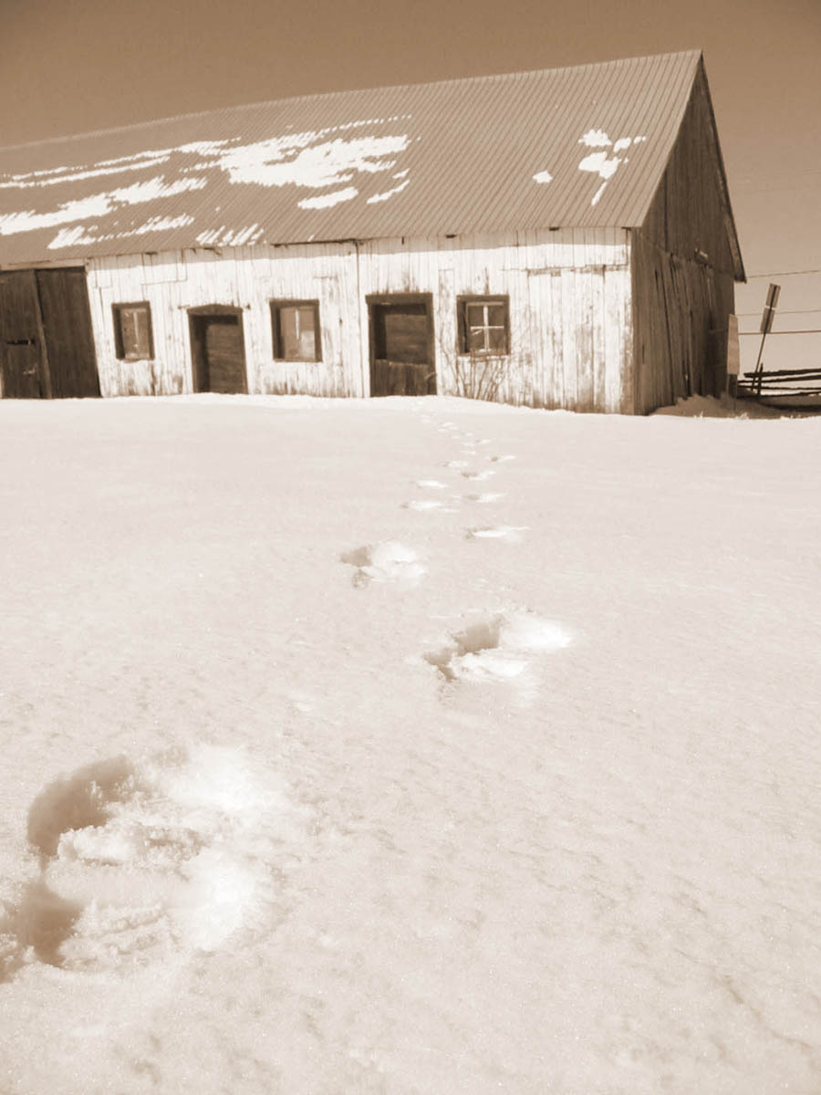 Fonds d'cran Nature Saisons - Hiver table abandonne