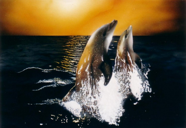 Wallpapers Art - Painting Animals Dauphins