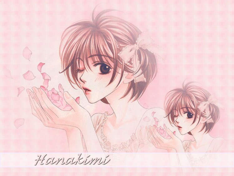 Fonds d'cran Manga Parmi Eux - Hanakimi Romantisme fleuri