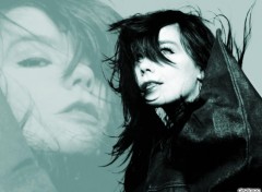 Wallpapers Music Bjork 02