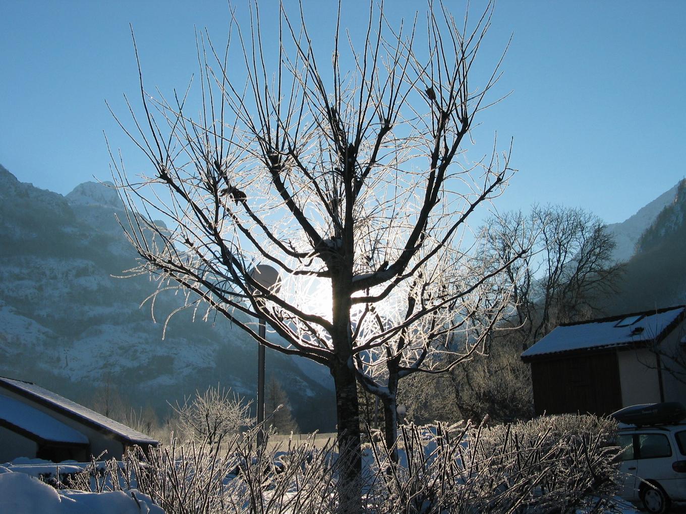 Fonds d'cran Nature Arbres - Forts Lever du soleil montagnard