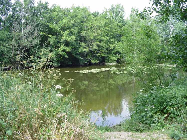 Fonds d'cran Nature Fleuves - Rivires - Torrents Cours d'eau