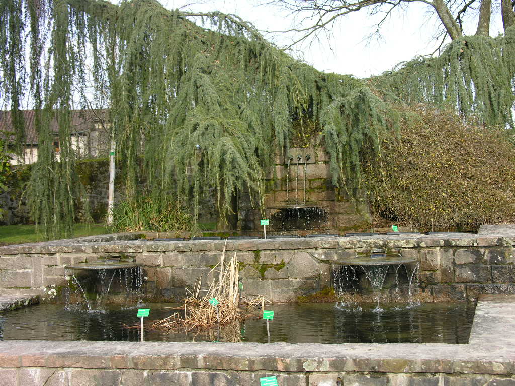 Fonds d'cran Nature Parcs - Jardins 