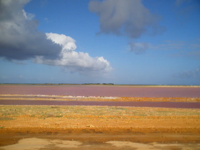 Wallpapers Trips : South America Venezuela Salines