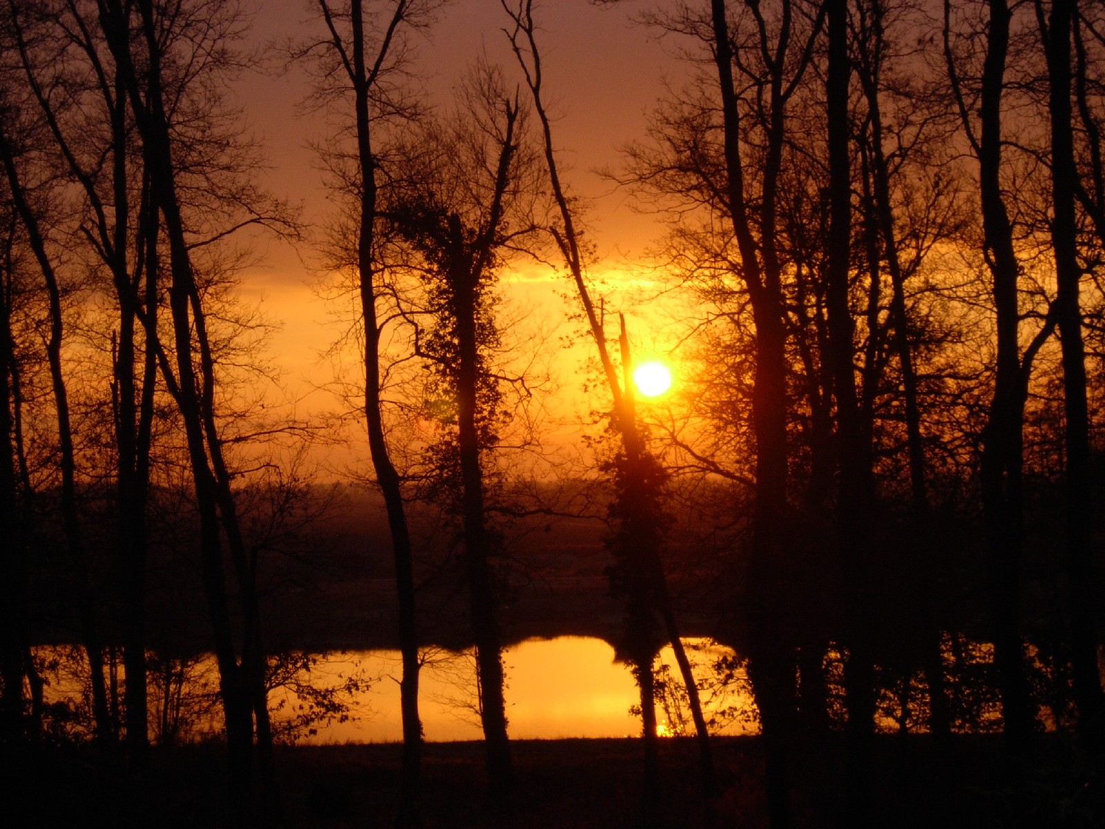 Fonds d'cran Nature Couchers et levers de Soleil 