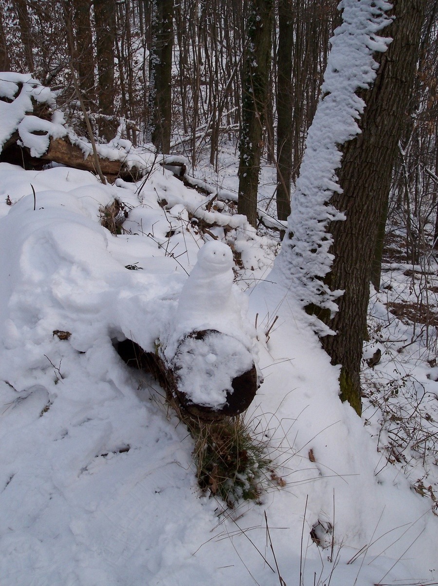 Fonds d'cran Nature Saisons - Hiver Petit homme de neiges