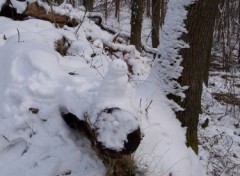 Fonds d'cran Nature Petit homme de neiges