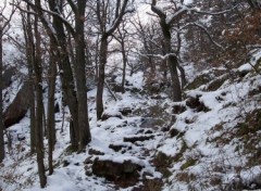 Fonds d'cran Nature Petit sentier enneig