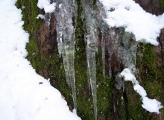 Fonds d'cran Nature Pic de glace