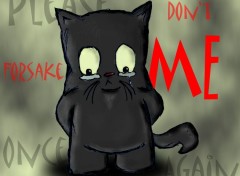 Wallpapers Digital Art Sad Cat