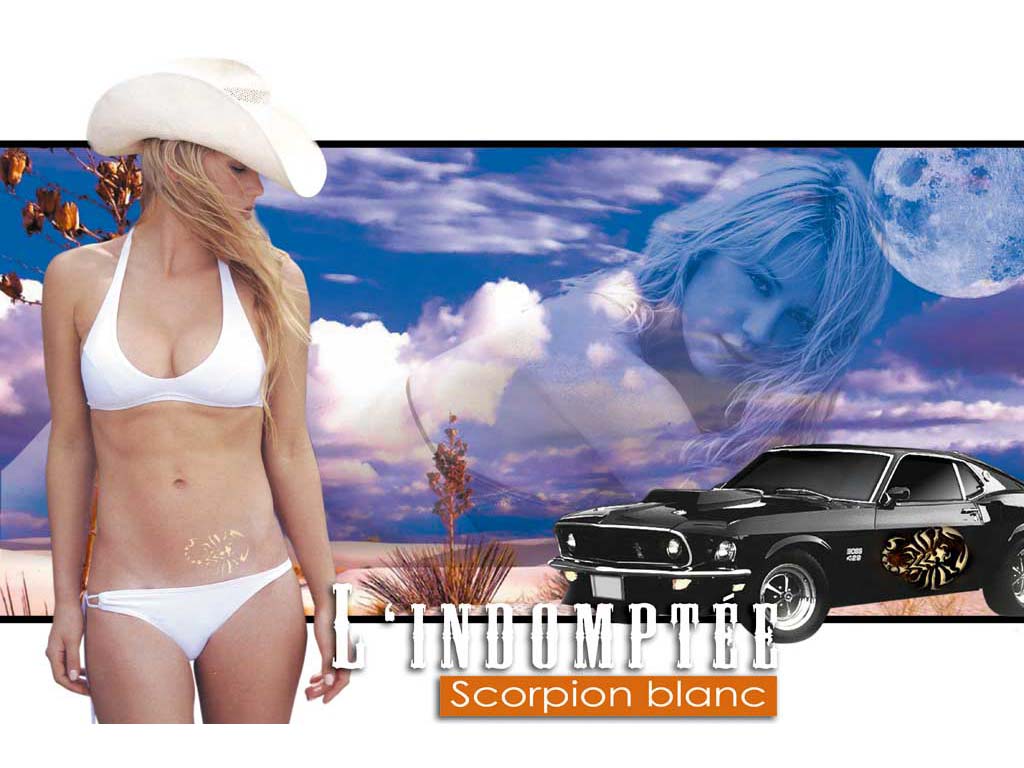 Wallpapers Celebrities Women Anna Kournikova L'Indompt - Scorpion blanc