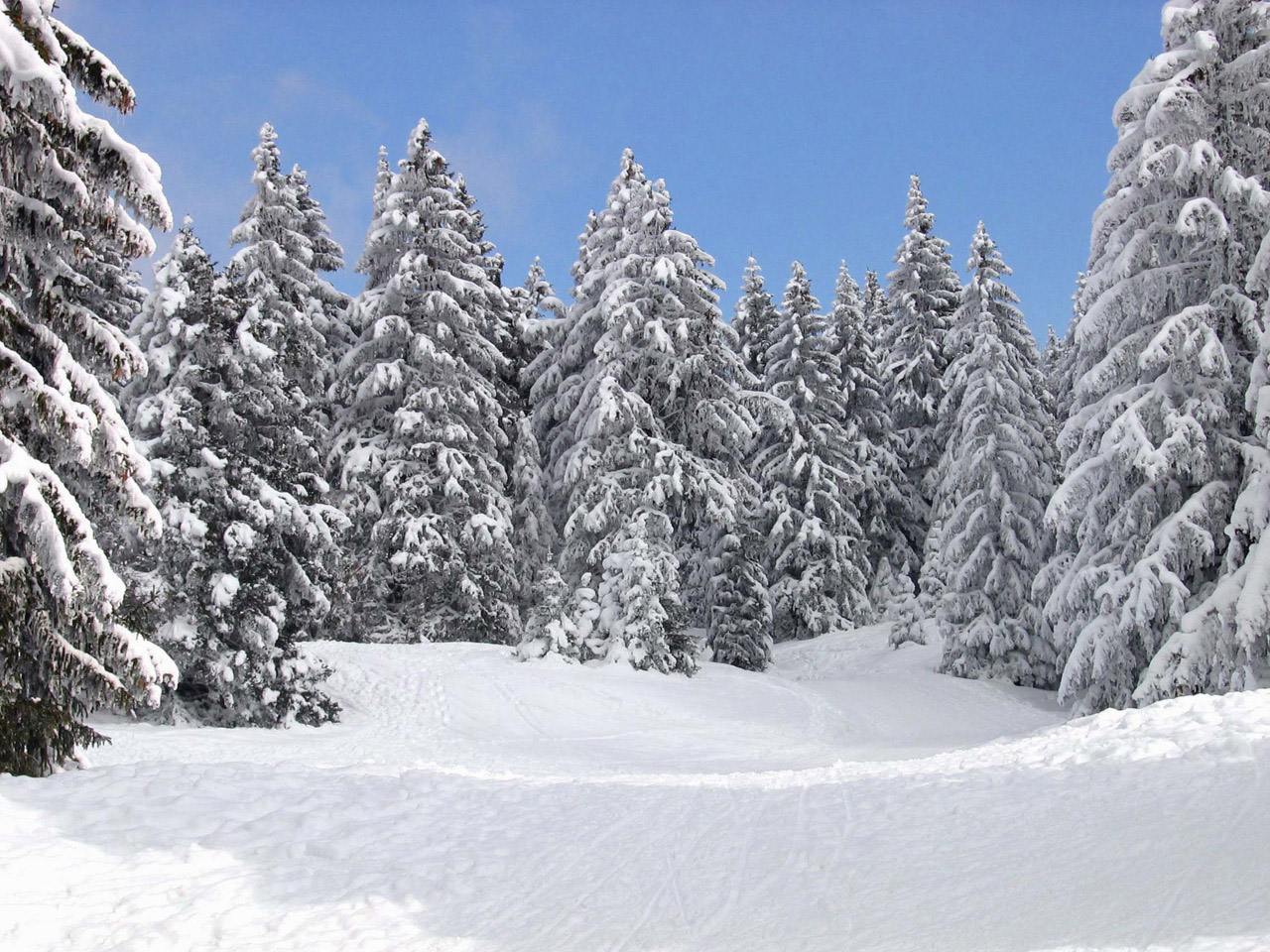 Fonds d'cran Nature Saisons - Hiver le semnoz