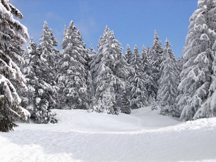 Fonds d'cran Nature Saisons - Hiver le semnoz