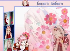 Wallpapers Manga sakura wall