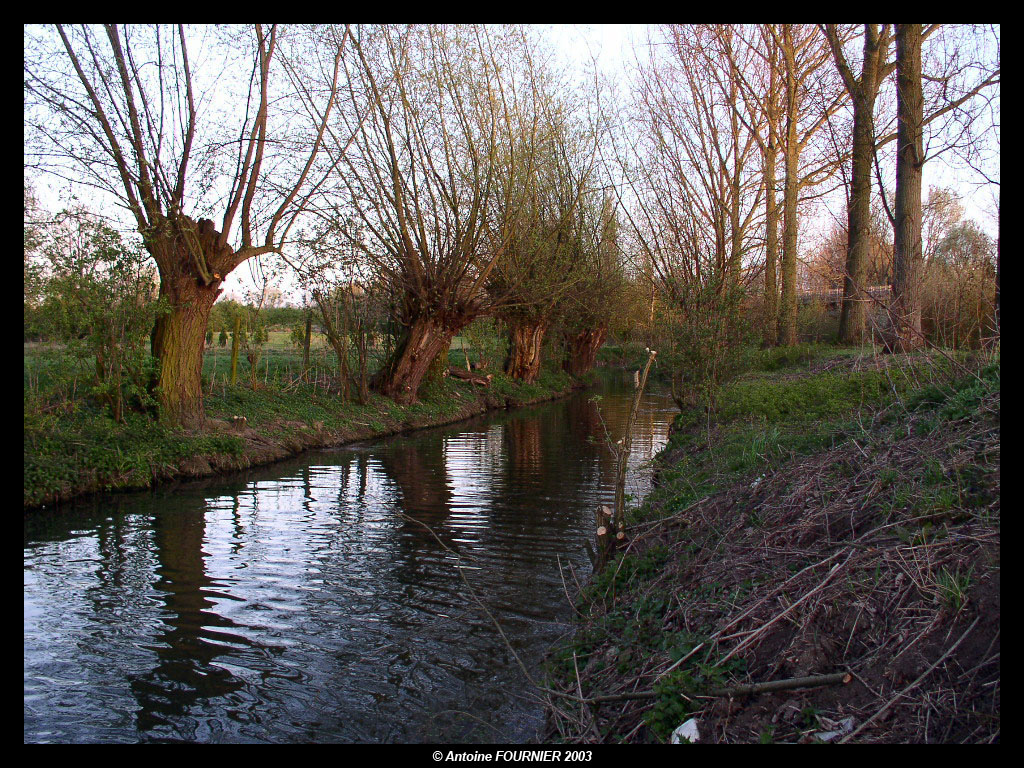 Fonds d'cran Nature Parcs - Jardins 