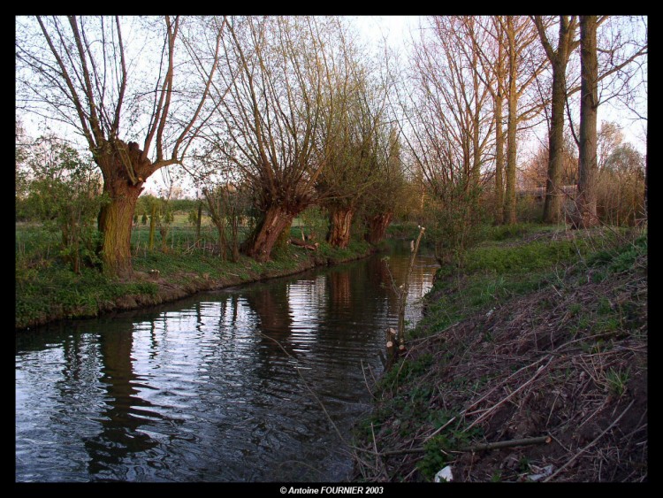 Fonds d'cran Nature Parcs - Jardins Wallpaper N91995