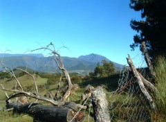 Fonds d'cran Voyages : Afrique Ile de la Reunion